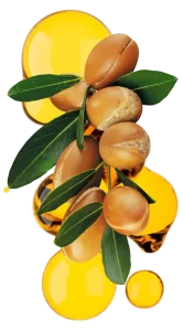 Organic Moroccan argan oil — supplier for brands (COA per lot, ECOCERT, USDA OID)