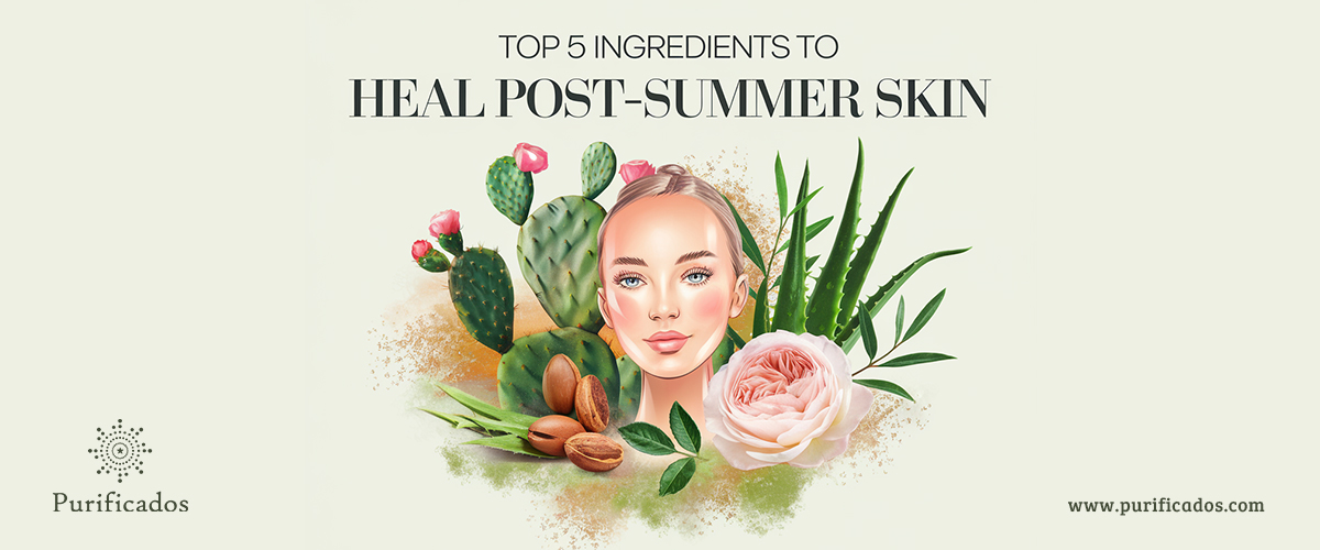 Top 5 Ingredients to Heal Post-Summer Skin