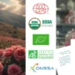 organic-rose-water-bulk-supplier-documentation
