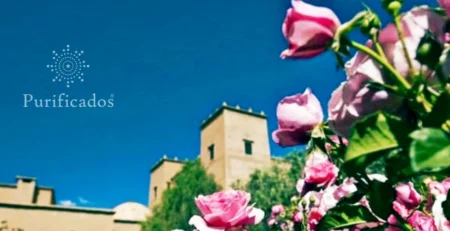 valley-of-roses-morocco-organic-rosewater
