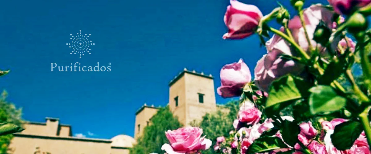 valley-of-roses-morocco-organic-rosewater